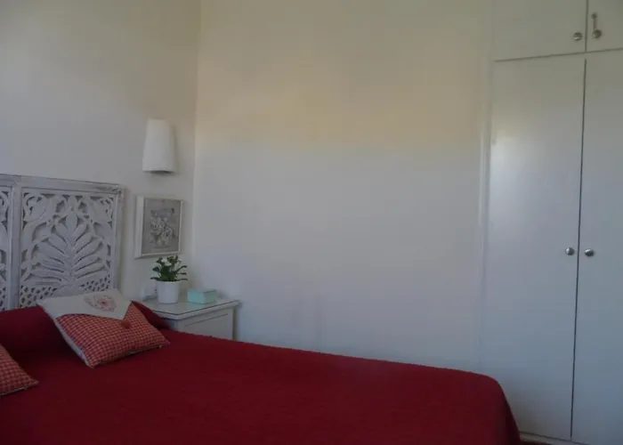 Nachetes 1 * カラ・ブランカ